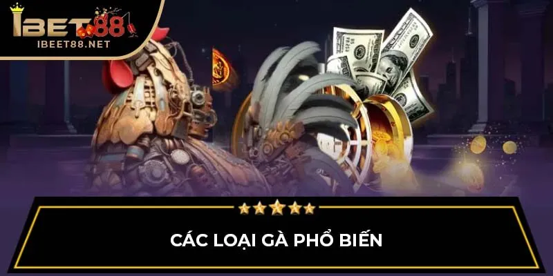 Đá Gà Ibet88: Khám Phá Thế Giới Đá Gà Trực Tuyến 1 Các loại gà phổ biến
